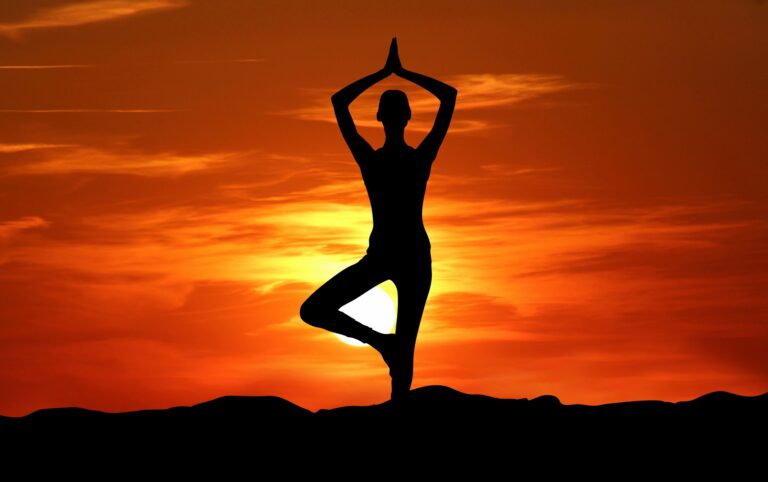Yoga: The Way, The Truth, The Life