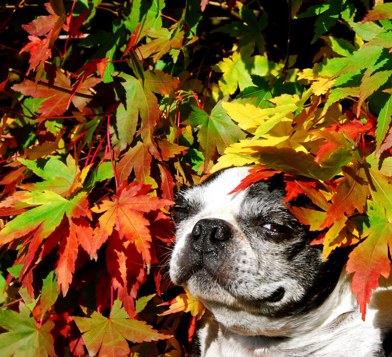 Cold Weather Self-Care: Tricks and Treats