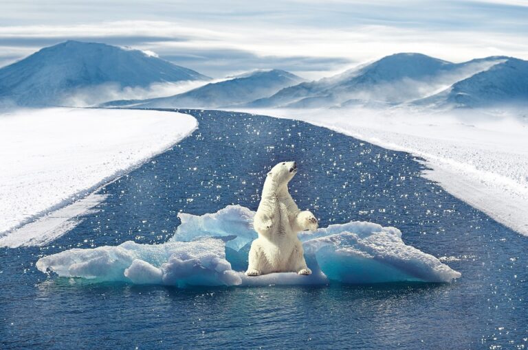 Nature is Facing a Cancellation Crisis