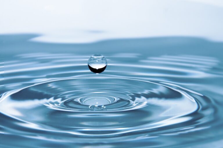 Hydrate, Don’t Die-drate: Explore Your Relationship With This Multi-Fauceted Resource