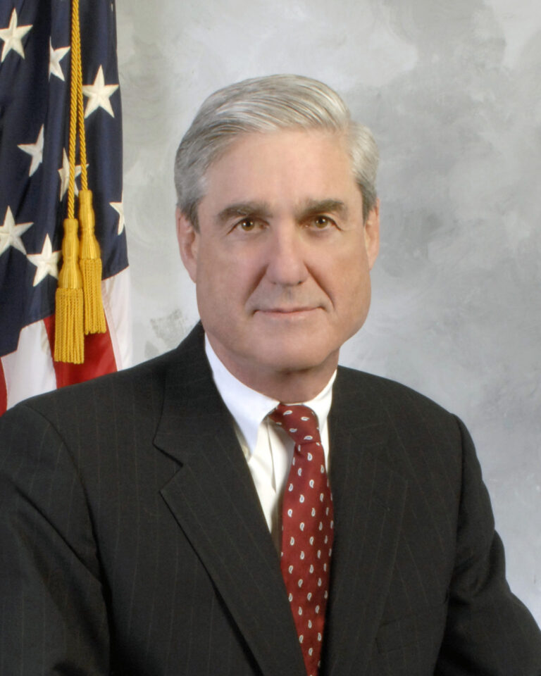 The Mueller Report Report
