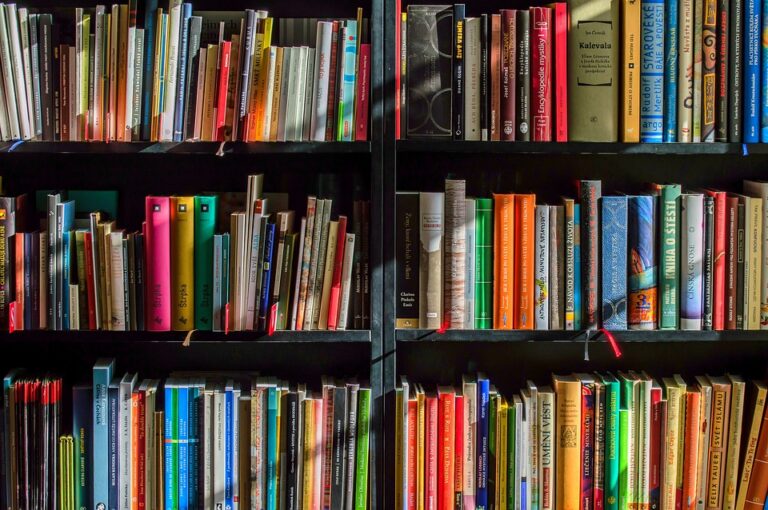 Best Books to Binge this Summer