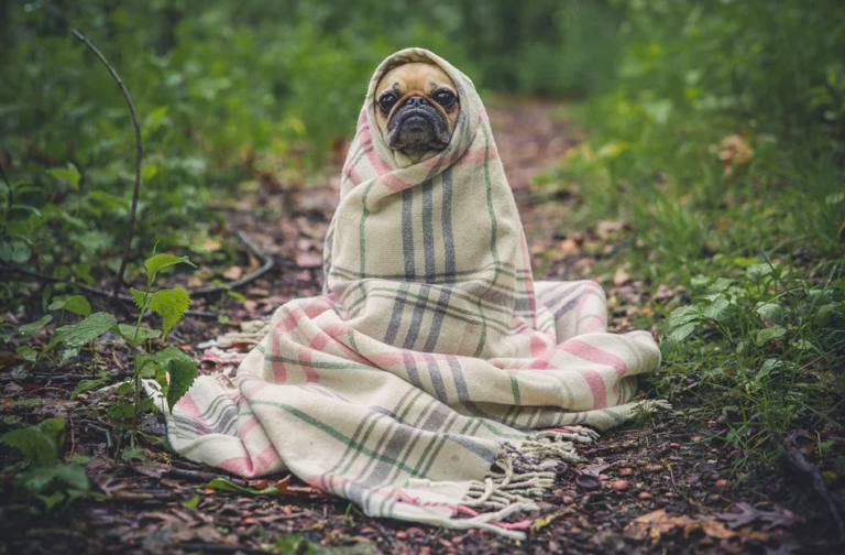 Oh, You Think THIS Is Cold?