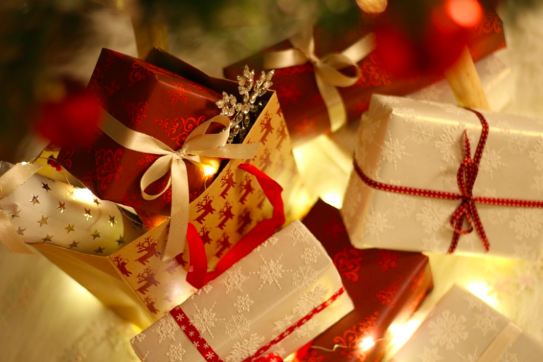 Holiday Gift Guide