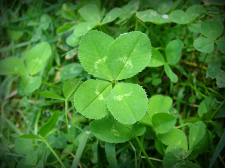 A Reminder About Luck