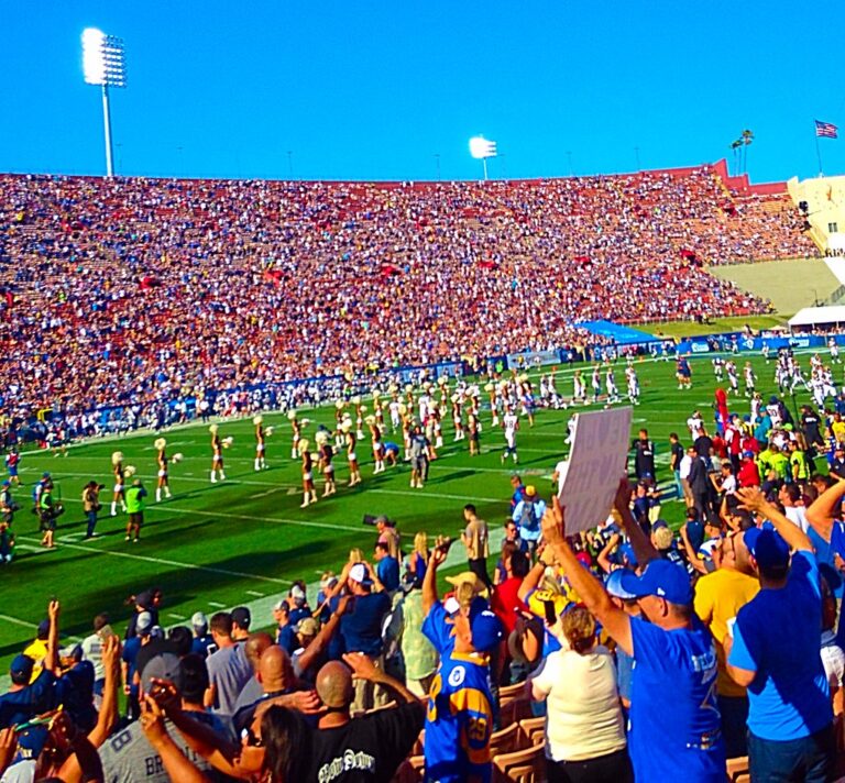 A Field Guide to Football Fans