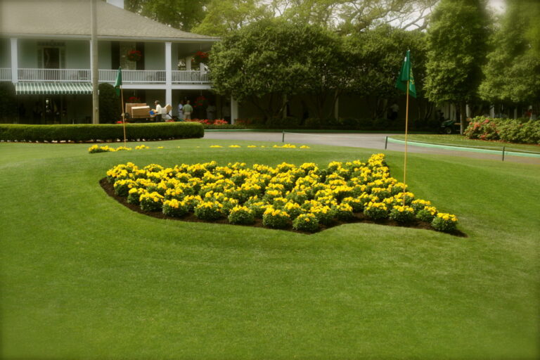 Golf’s Downfall? Low Ratings for 2020 Masters