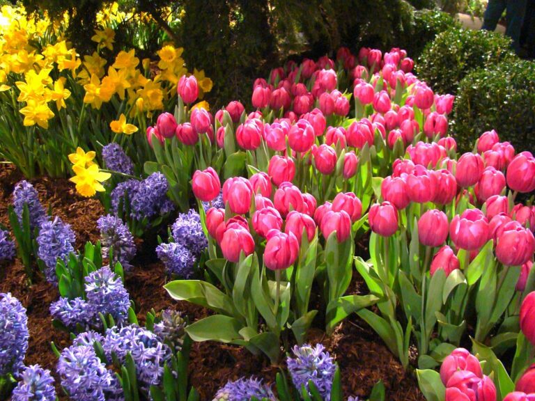 Spring Bucket List