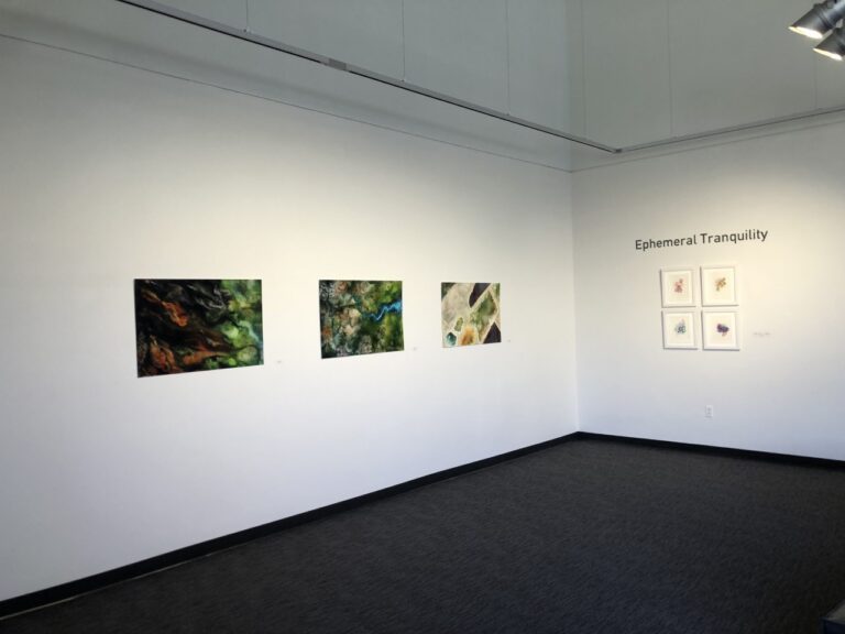 Ephemeral Tranquility Debuts in RC’s Olin Gallery