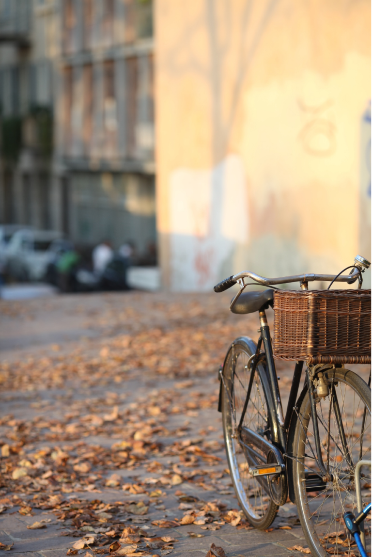 Fall Activities in Salem-Roanoke