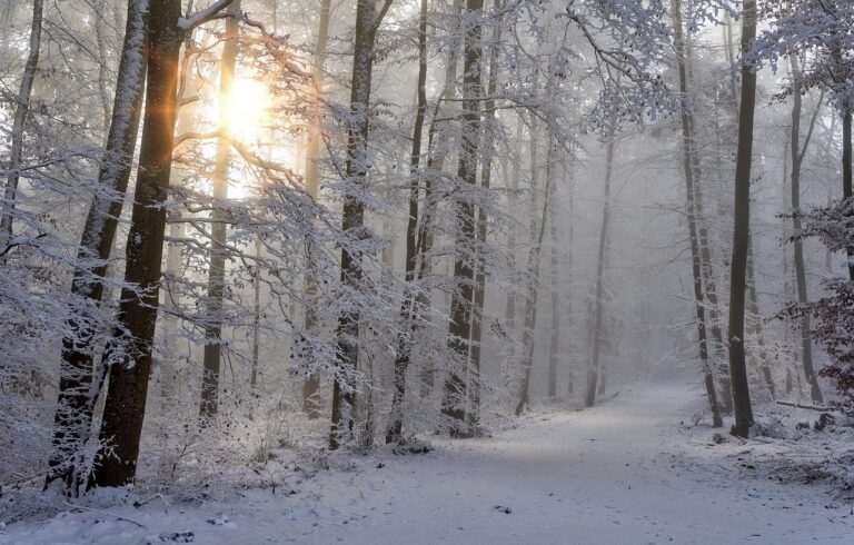 Winter is Coming