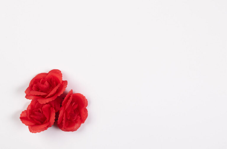 The Language of Flowers