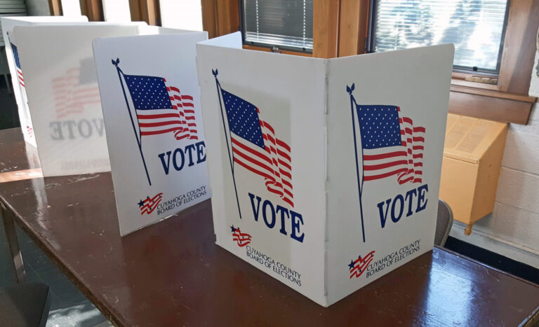 Democracy Needs Voters
