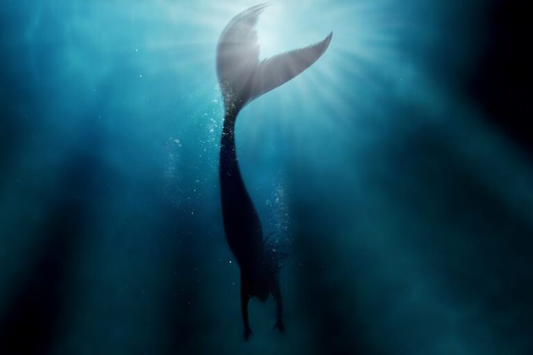 Under the Sea: a New Spin on an Old “Tail”