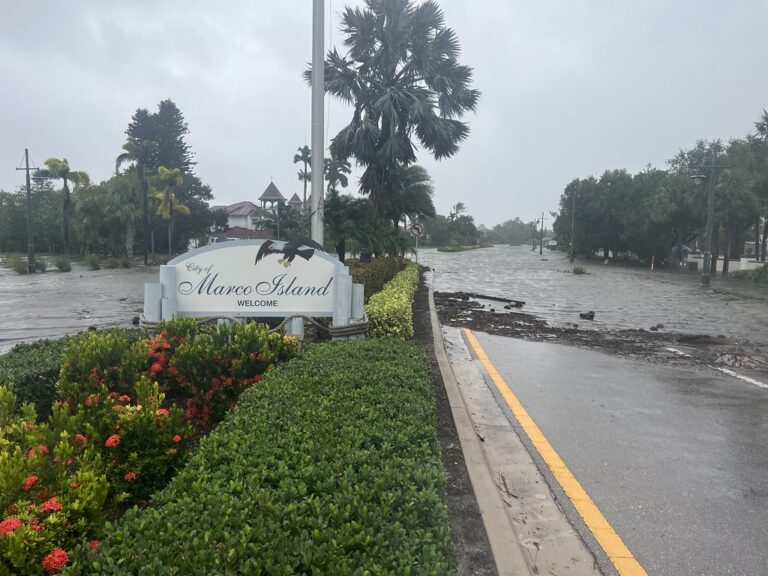 Hurricane Ian: A Devastating Storm and the Road to Recovery