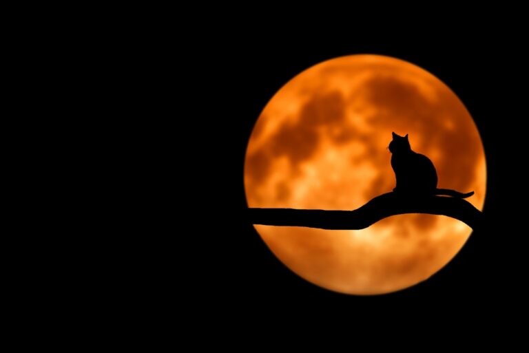 Spooktacular Crafts