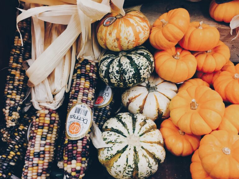 Ways to Express Gratitude This Thanksgiving Season