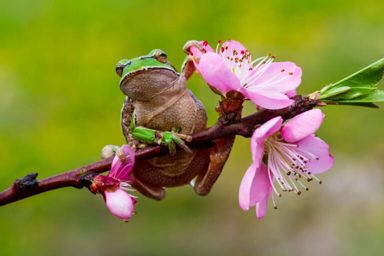 Spring Has Sprung!