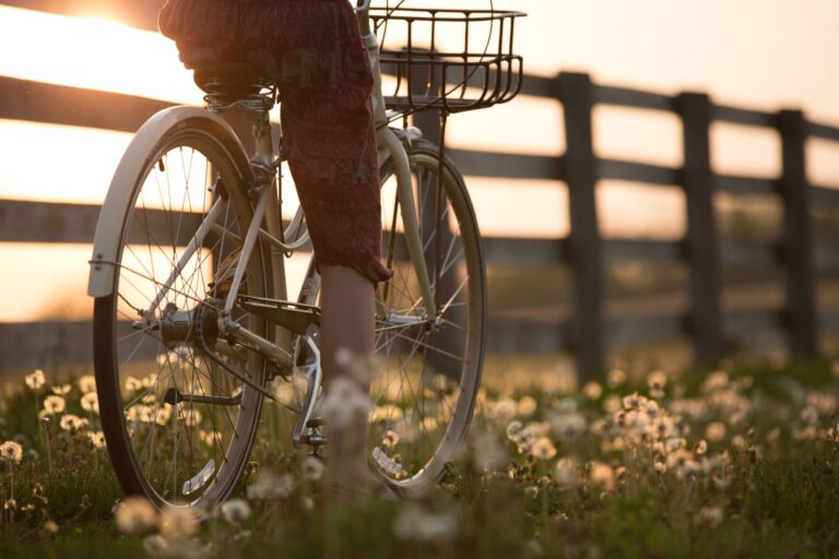 Activities to Do This Spring