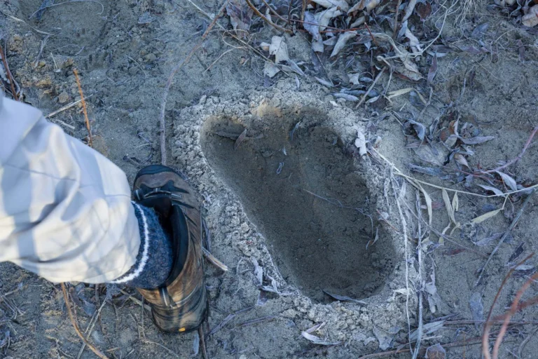 Beyond the Footprints