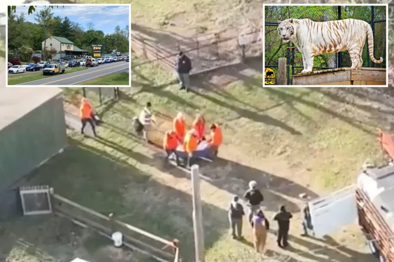 Local Virginia Zoo Accused of Animal Abuse