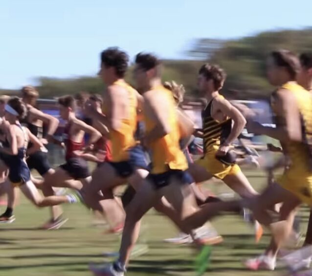 XC, New Feats, New Heights