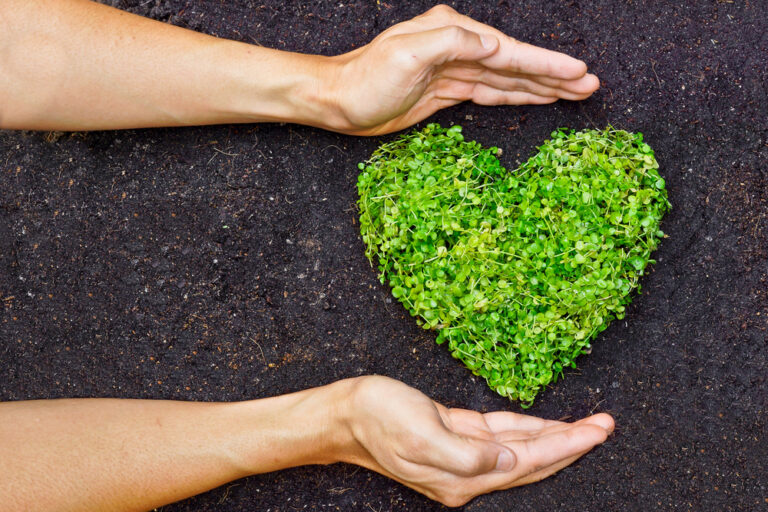 Practicing a More Sustainable Valentine’s Day