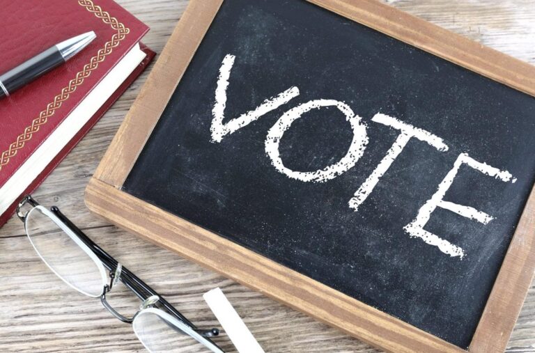 The Power of Local Elections