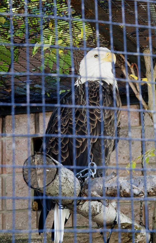 Maggie’s Death Reveals Our Own Faults